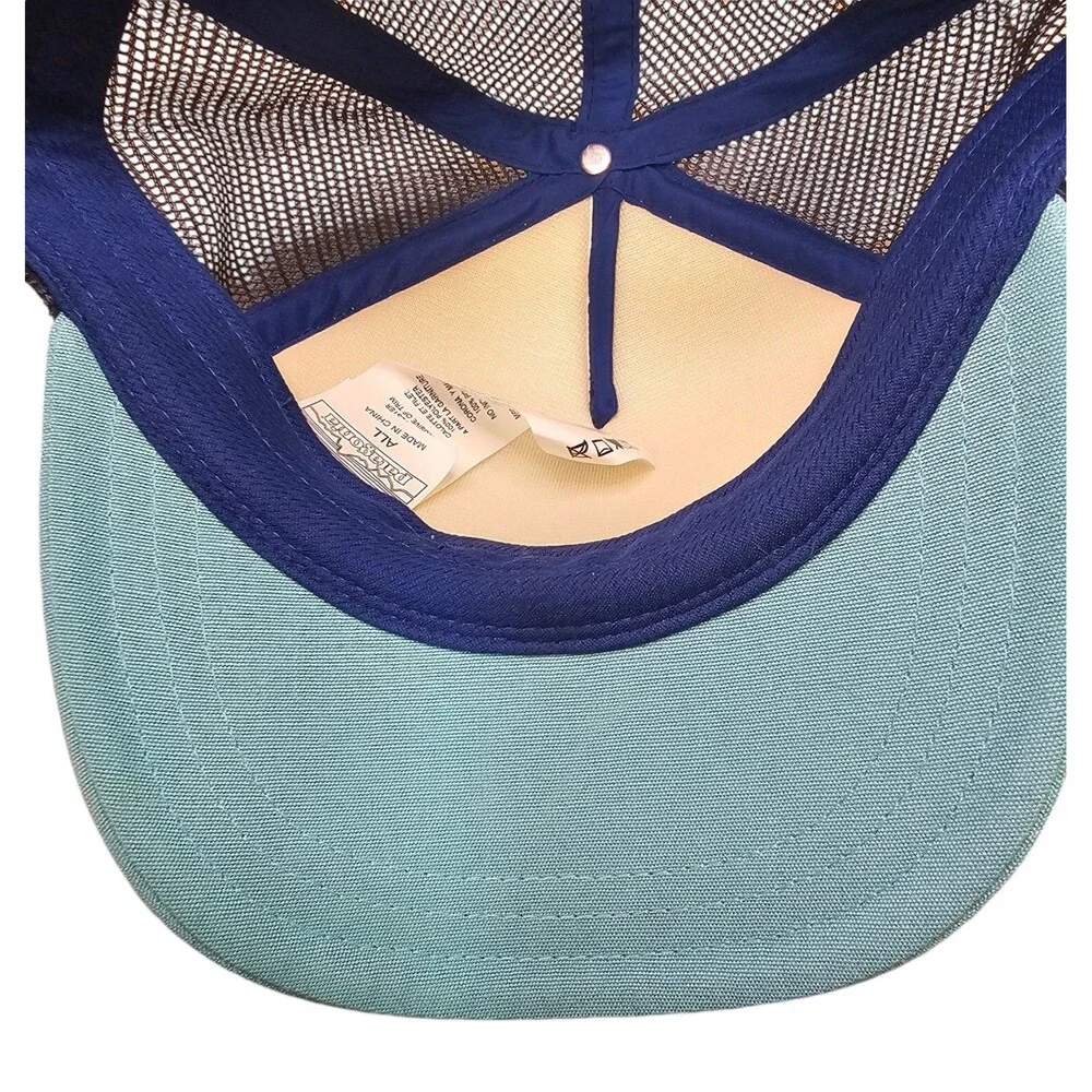 Patagonia Femme Fitz Roy Interstate Trucker Hat Snapback